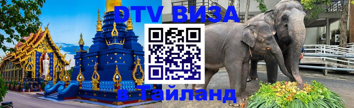 Купить DTV визу в Таиланд 
